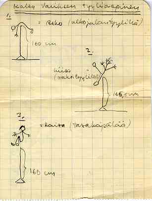 06-VarisKaisa-Tyyliaapinen