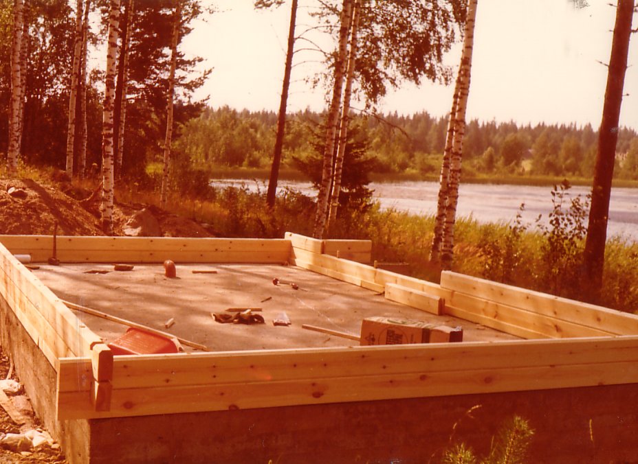 10-19730672003-EnsimmainenHirsikerta-A972N