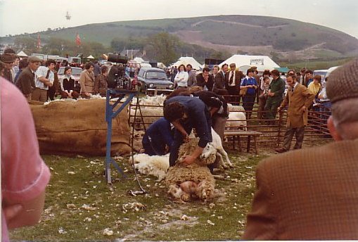 14-19790609010-CountryFair-Aberystwyth-Wales-A061N2