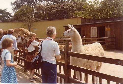 14-19790610020-Lama-SafariPark-A061N